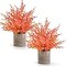 2-Pack 14" Fall Artificial Eucalyptus Plants – Potted Faux Greenery for Home, Office, Bathroom, Shelf, Desk, Coffee Table & Farmhouse Decor (Orange-large)